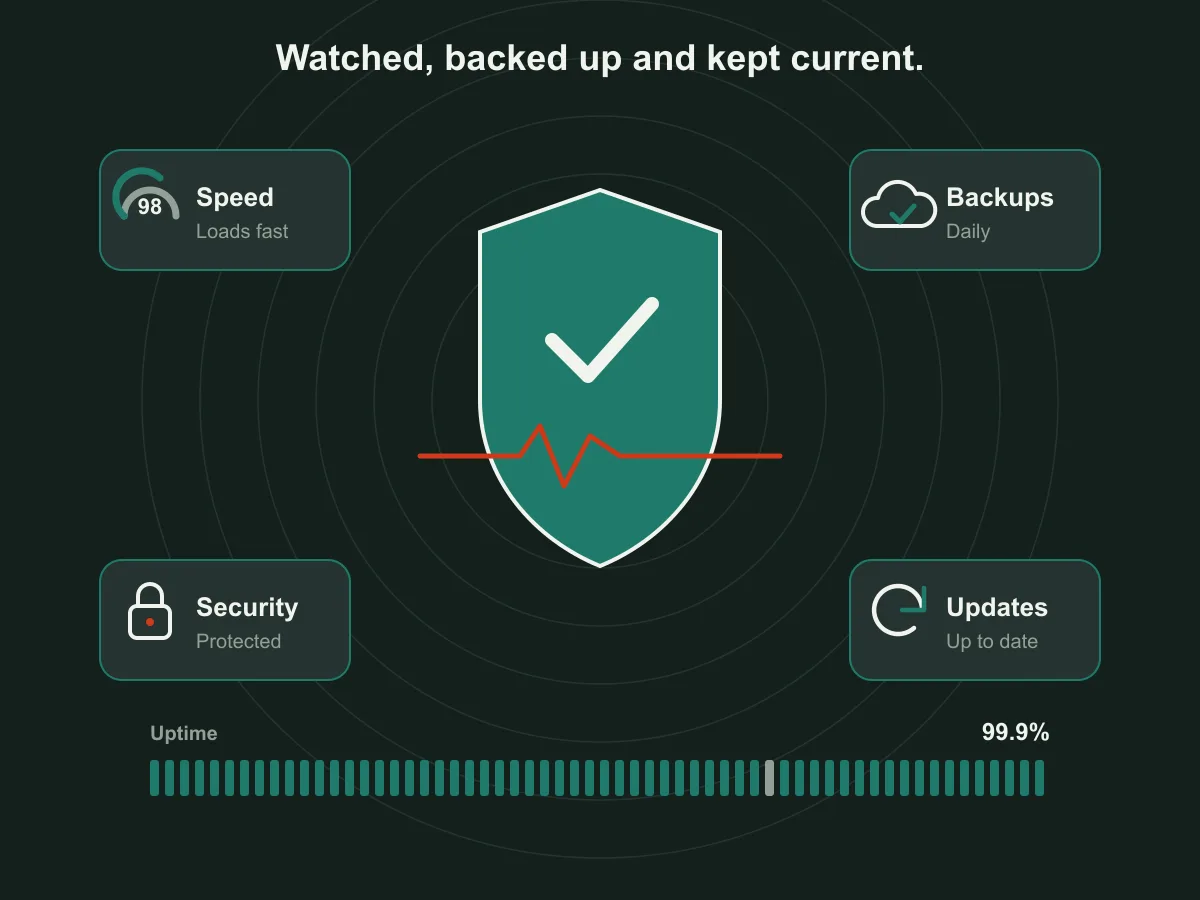 A shield with speed, backups, security and updates checks around it